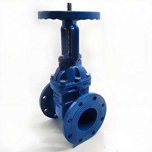 手動閘閥Z41T-16 DN50/DN65廠家直銷，上海發