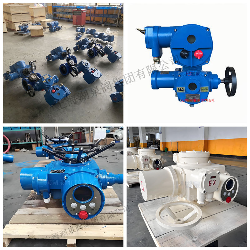 電動執(zhí)行器